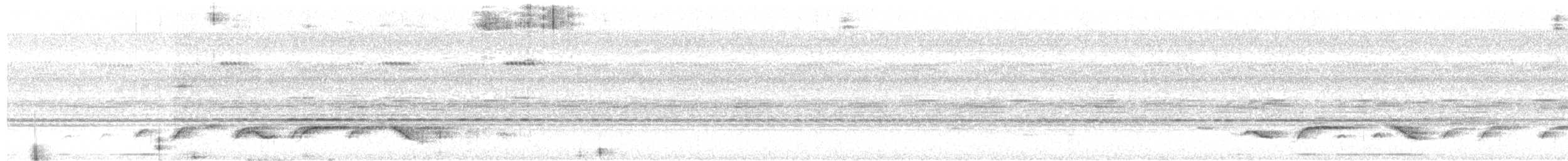 Nava's Wren - ML453753171