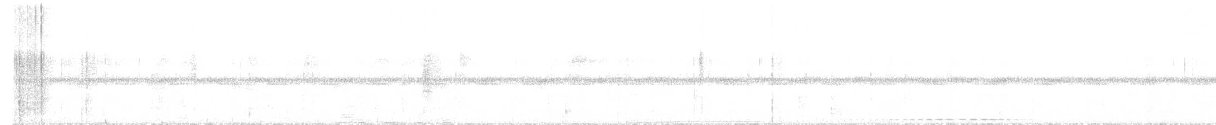 Grauscheitel-Ameisenpitta - ML453771501