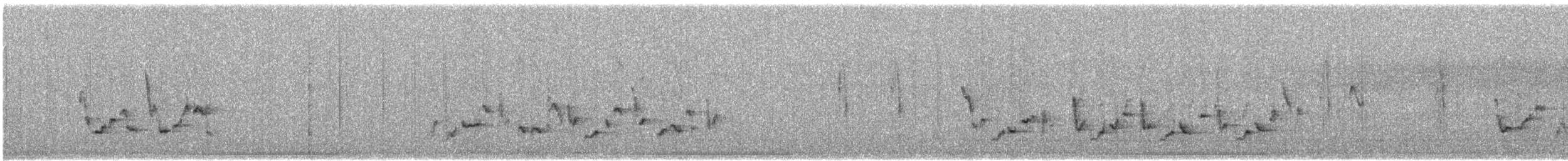 チャバラマユミソサザイ - ML453833261