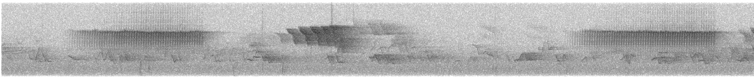 Worm-eating Warbler - ML453922131