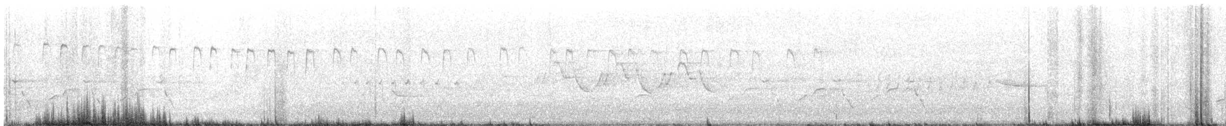 מין לא מוכר - ML453948561