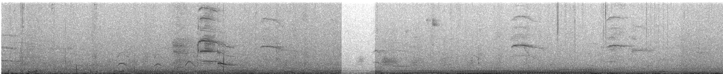 Graugans (domestiziert) - ML453995551