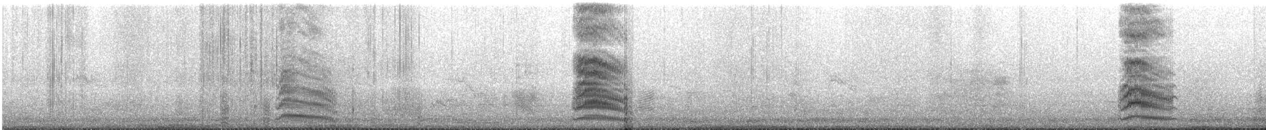 Dominikanermöwe - ML453995601