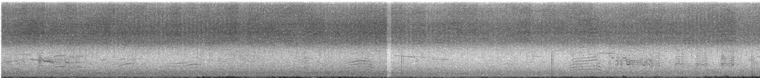 Australasian Swamphen - ML453998831