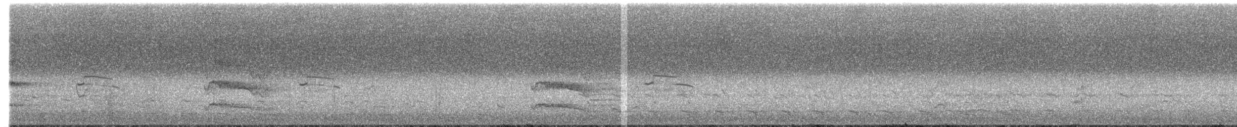 Kelp Gull - ML453998871