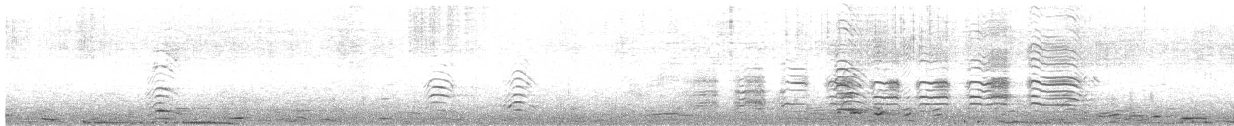 Чернохвостая чайка - ML453998961