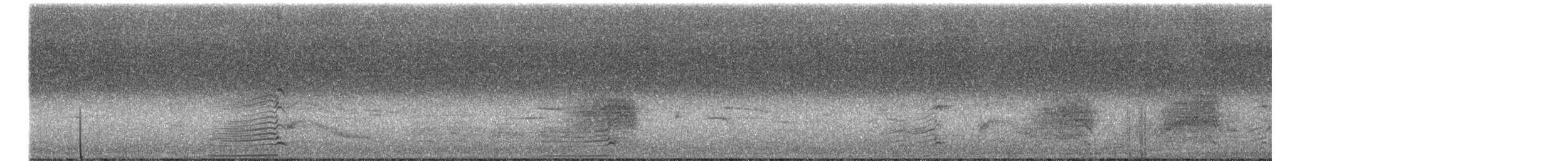 Australasian Swamphen - ML453999201