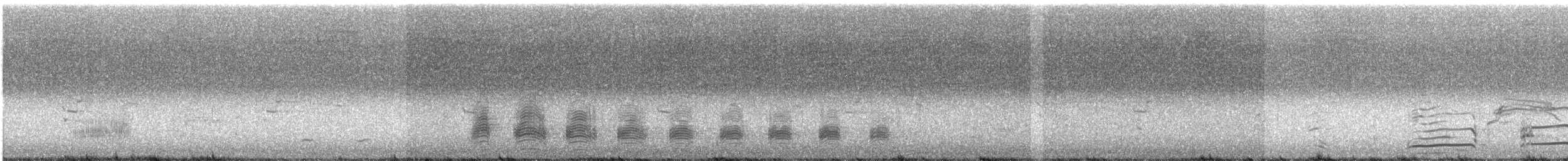 Kelp Gull - ML453999281