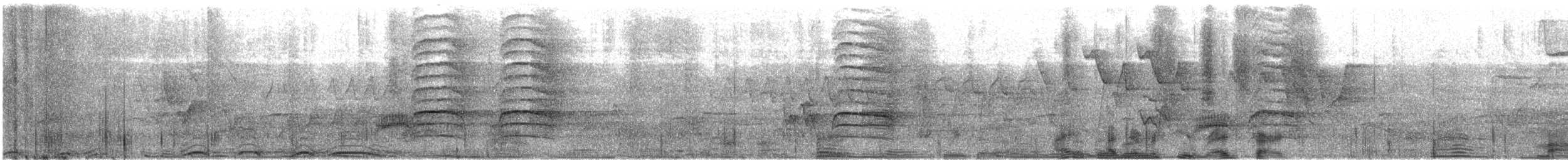 Barred Owl - ML454081591