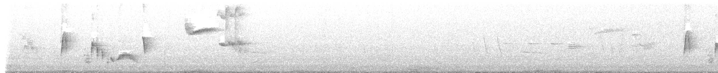 White-eyed Vireo - ML454102091