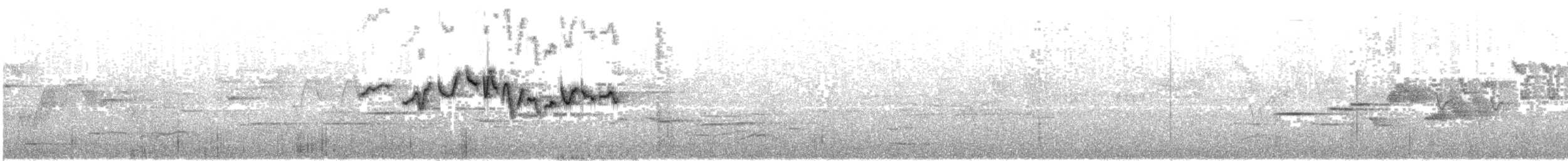 Тимелія-куцохвіст велика (підвид albiventer/pallidior) - ML454132221