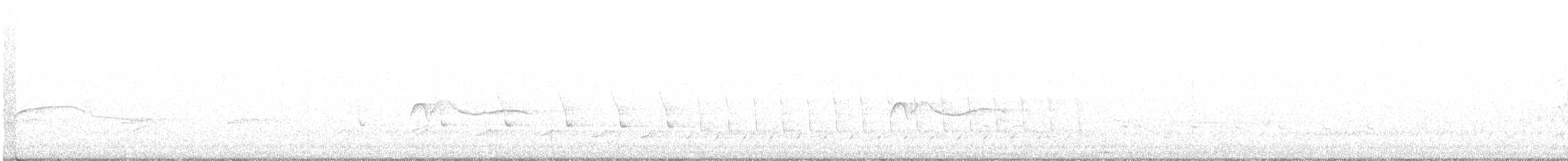 Hellbauch-Schnäppertyrann - ML454267141