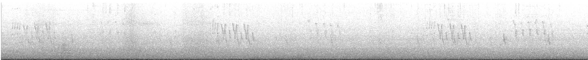 Охотский сверчок - ML454407371