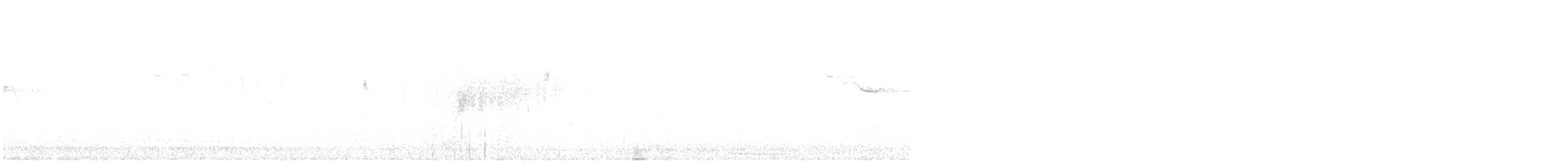 Канадская овсянка-барсучок (subvirgata) - ML454508731