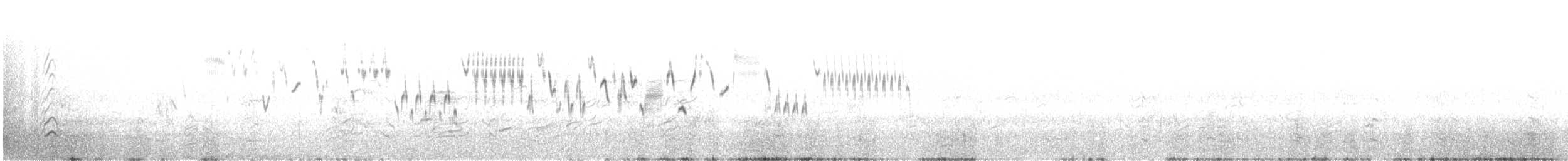 Pazifikzaunkönig [alascensis-Gruppe] - ML454659901