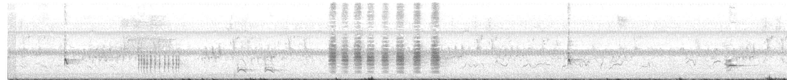 Yellow-breasted Chat - ML454667541