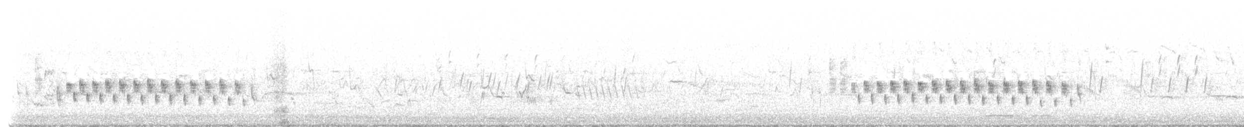 Klappergrasmücke (curruca/blythi/halimodendri) - ML454737371