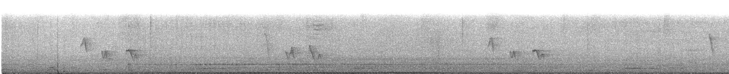 Black-whiskered Vireo - ML454789721