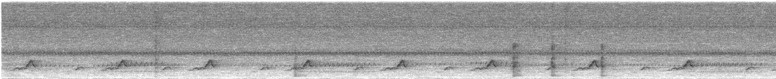 Eastern Whip-poor-will - ML454825321