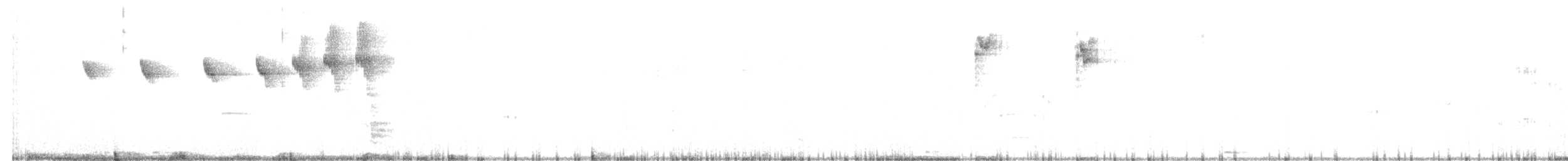 kolibřík bělobřichý - ML454905611