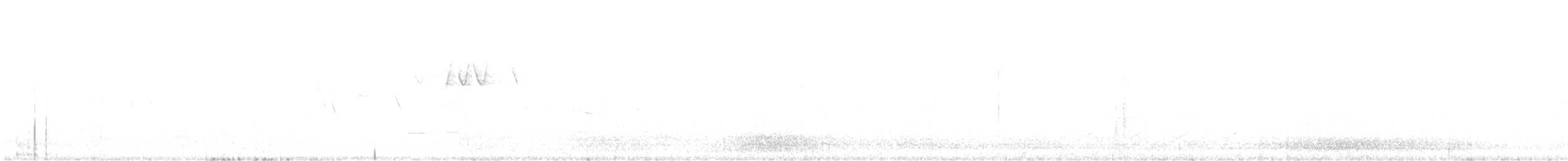 Багновець блідий (підвид subvirgata) - ML454914431