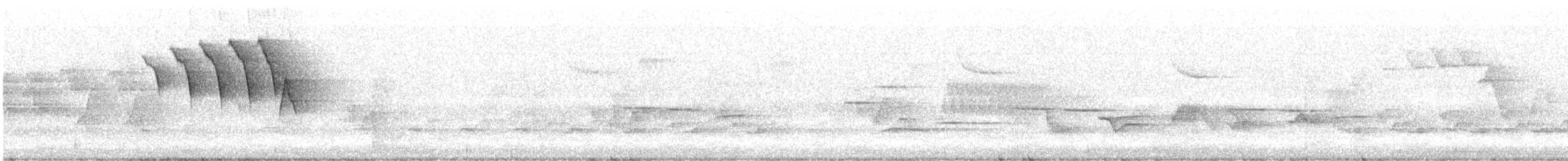 סבכון חכלילי - ML454987441