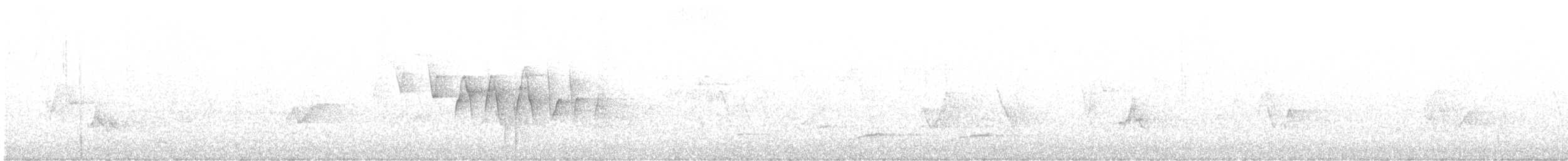 Northern Waterthrush - ML454989531