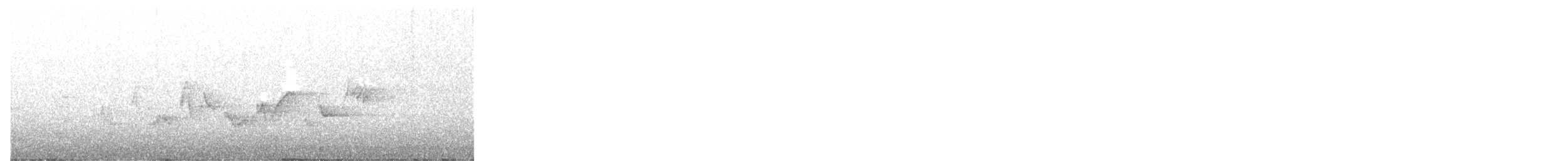 Western Warbling Vireo - ML454998111