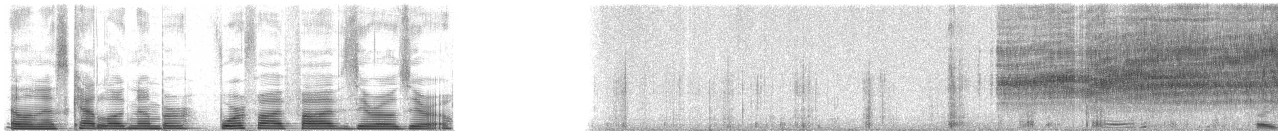 Rattlesnakes - ML45500