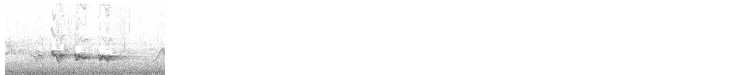 Western Tanager - ML455000961