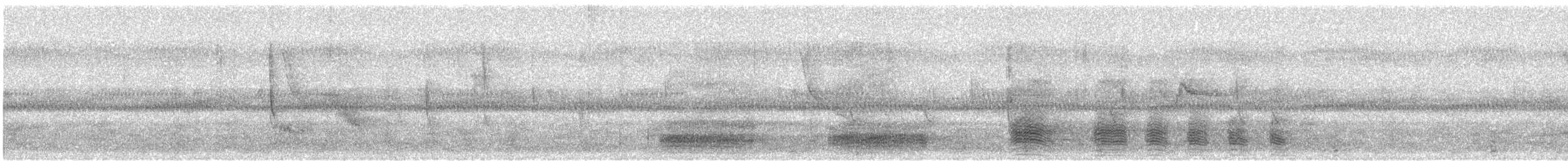 Löffelente - ML455018701