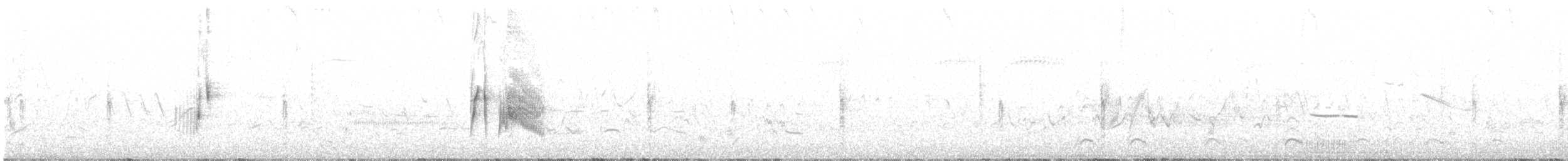 tyranovec vrbový - ML455062501