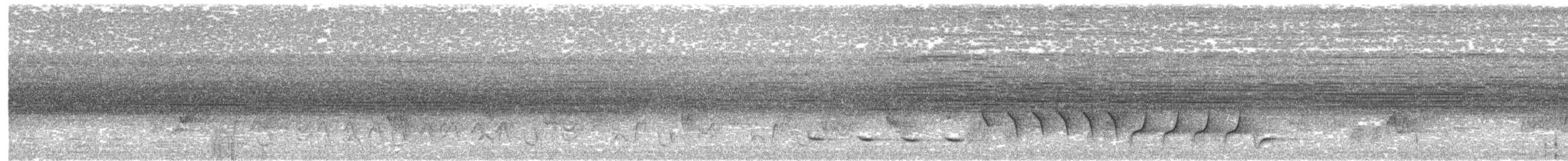 Şerit Karınlı Çıtkuşu - ML455121941