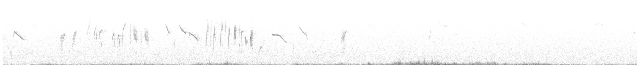 Шиподзьоб сіроспинний - ML455131681