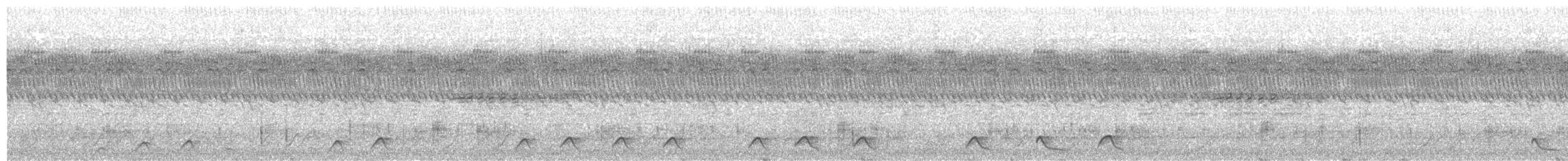 Chotacabras Pecoso - ML455155661