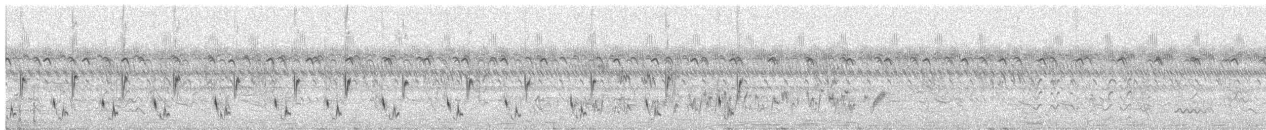 Cisticole striée - ML455156281