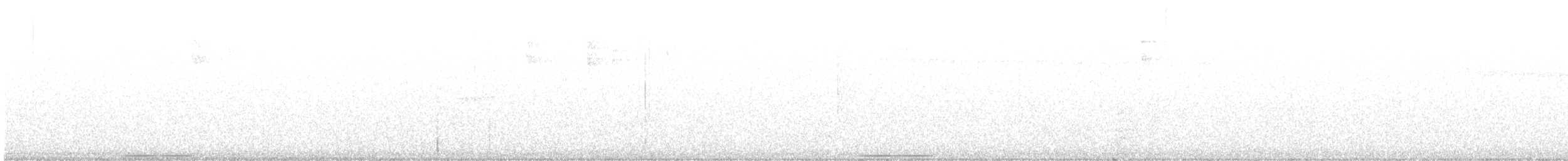 White-throated Quail-Dove - ML455179341