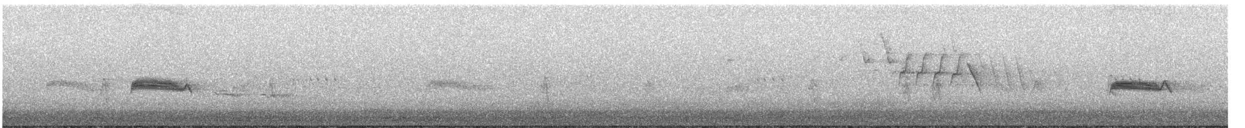Western Wood-Pewee - ML455232911