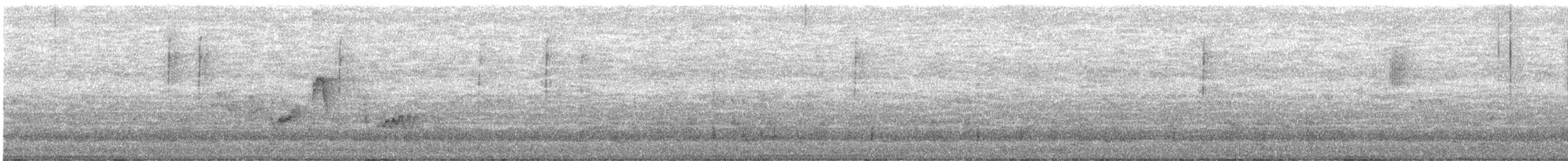 Warbling Vireo - ML455233031