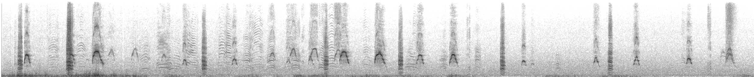 Maskentölpel - ML455290841