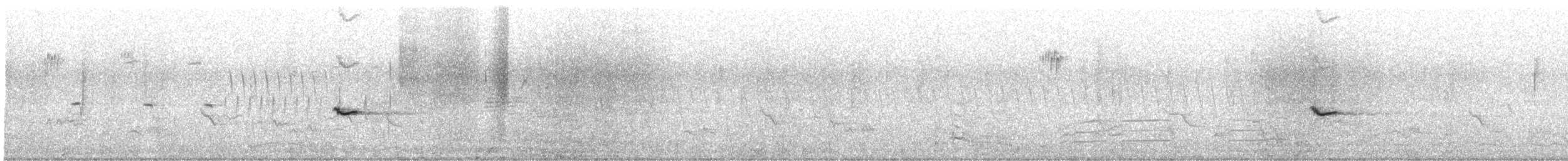 Oriole des vergers - ML455313951