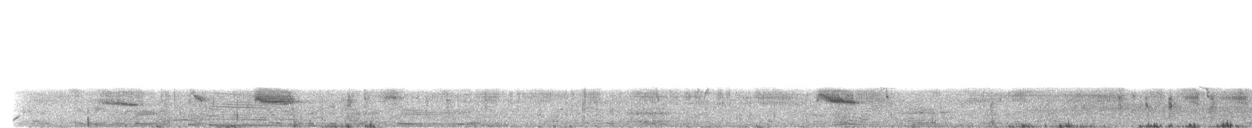 Boat-tailed Grackle (westoni) - ML45535581