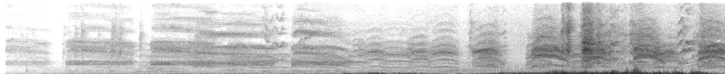 Mouette argentée (scopulinus) - ML455471131