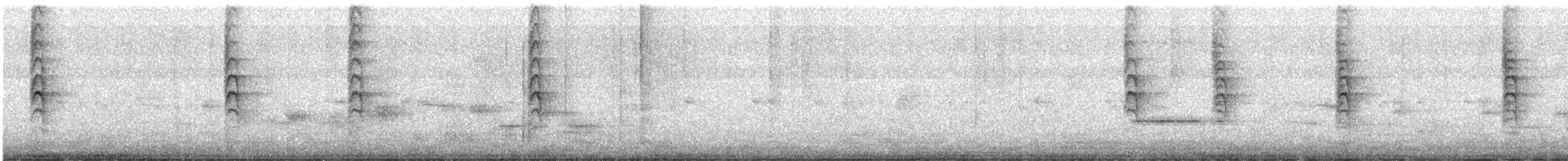 New Zealand Fantail - ML455475811