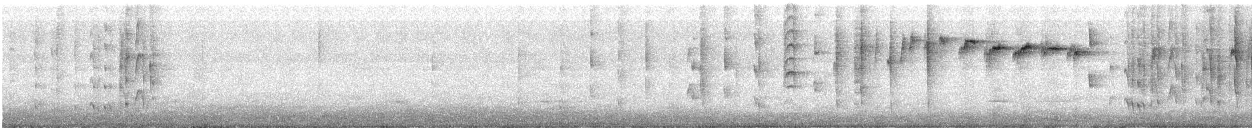 New Zealand Fantail - ML455477531