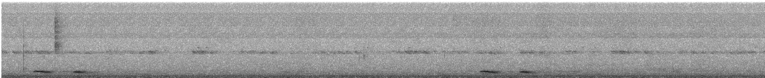 Kuckuckskauz - ML455478991