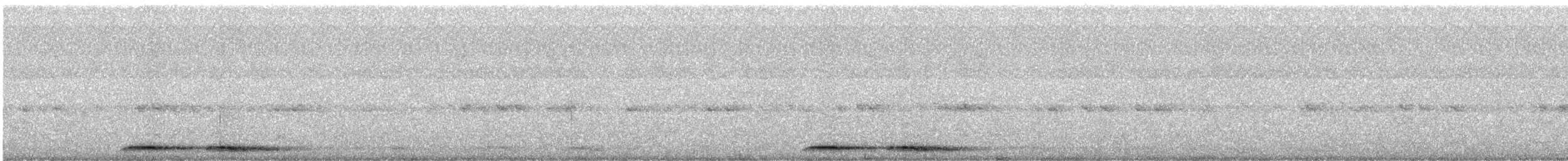 Kuckuckskauz - ML455479361