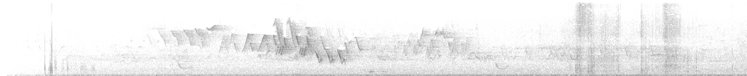 Mourning Warbler - ML455480181
