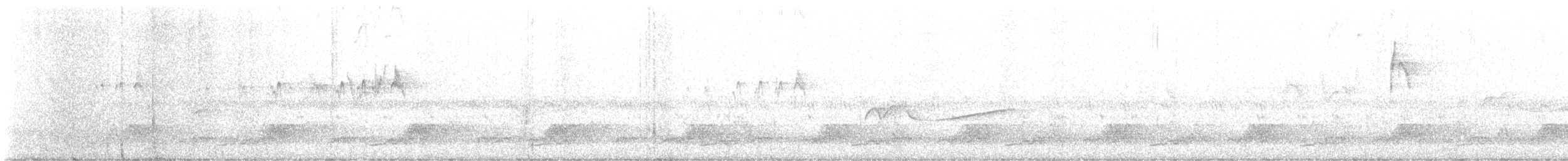 Schwarzkehl-Nachtschwalbe - ML455488211