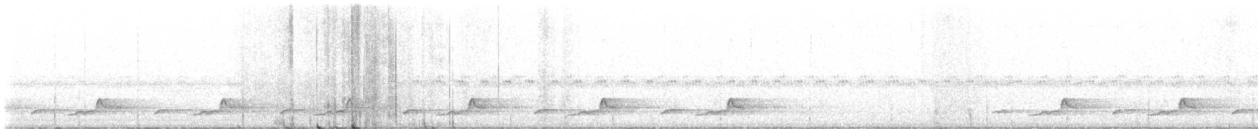 Schwarzkehl-Nachtschwalbe - ML455489551